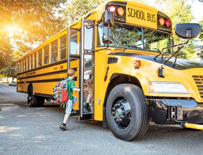 ELDT School Bus Endorsement